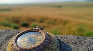 Cartography of the Ephemeral: Tracking Orchid Habitats in a Shifting Terrain